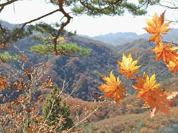 农文旅融合绘就乡村新篇章