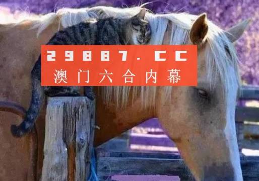 二四六澳门免费全全大全,广泛的关注解释落实热议_复古款46.414